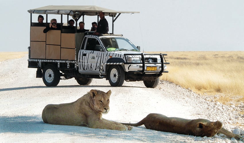 ETOSHA_GAME_DRIVE1 web